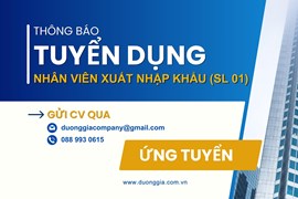 Công Ty Dương Gia Tuyển Dụng Nhân Viên Xuất Nhập Khẩu (Lĩnh Vực Thiết Bị Y Tế)
