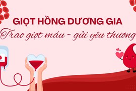 Giọt Hồng Dương Gia – Trao giọt máu, gửi yêu thương